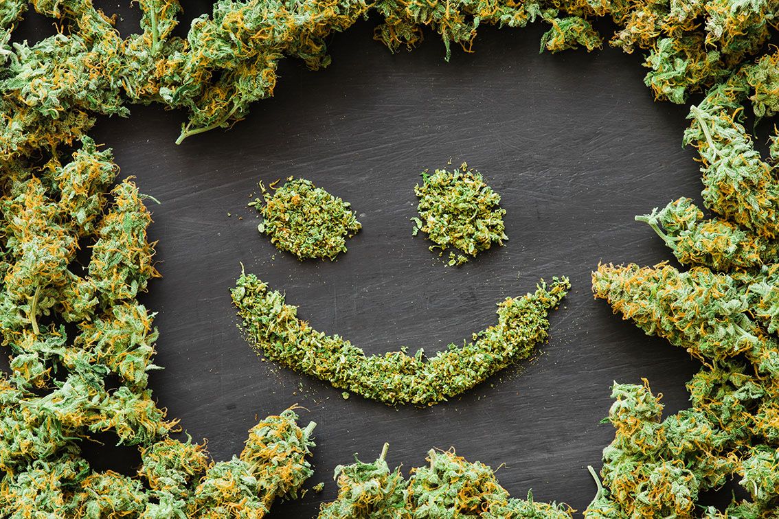 Meet the family: Here's a guide to the major families of cannabis strains