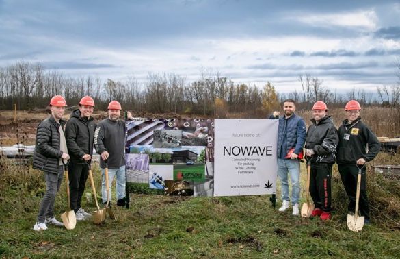 Understanding The Job Opportunities In The Cannabis Processing Industry In New York With NOWAVE